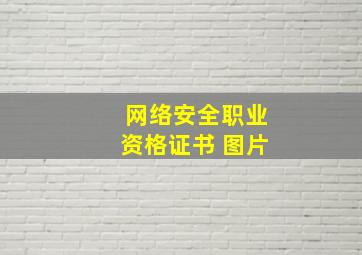 网络安全职业资格证书 图片